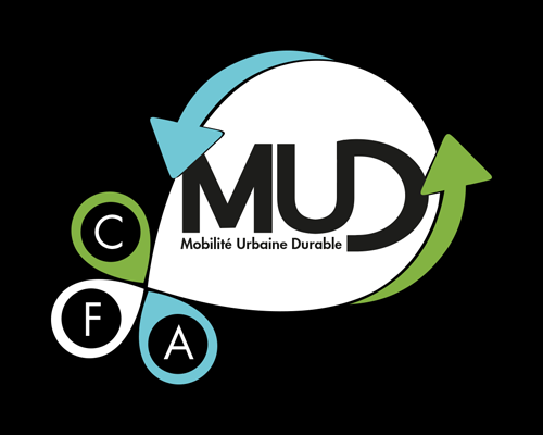 Identité visuelle CFA MUD
