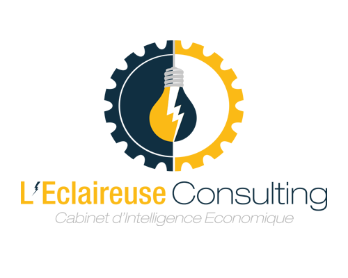 Identité visuelle l'Eclaireuse Consulting